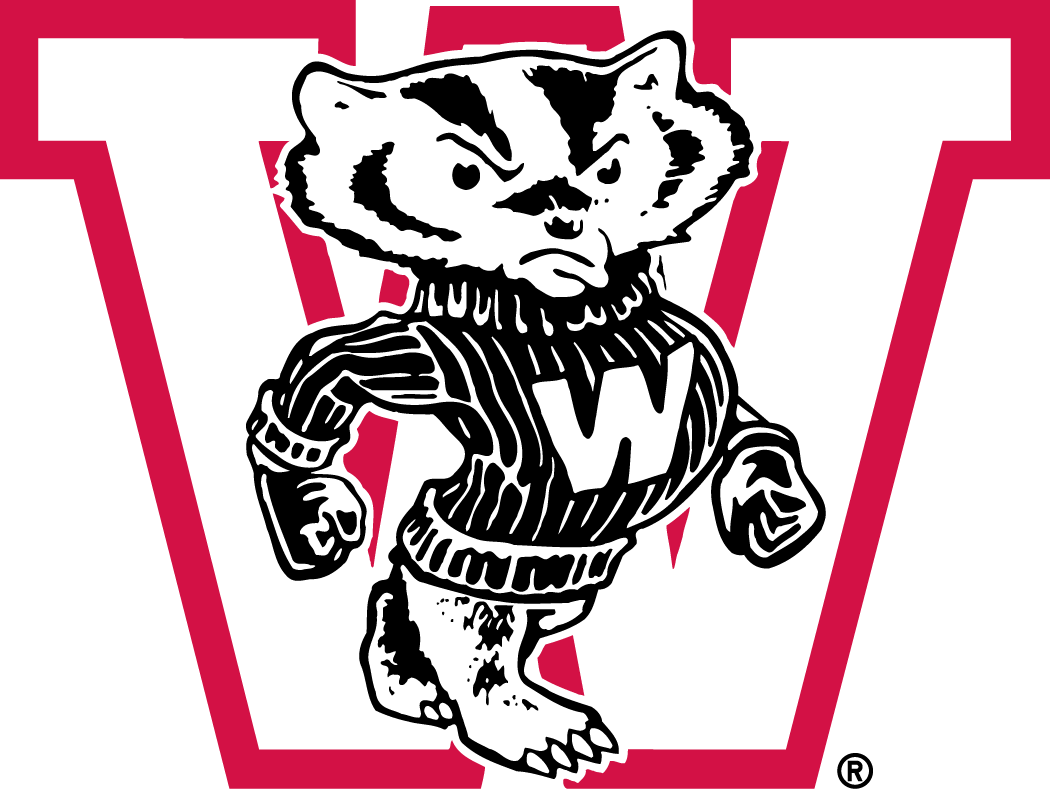 Wisconsin Badgers 1948-1956 Primary Logo t shirts iron on transfers